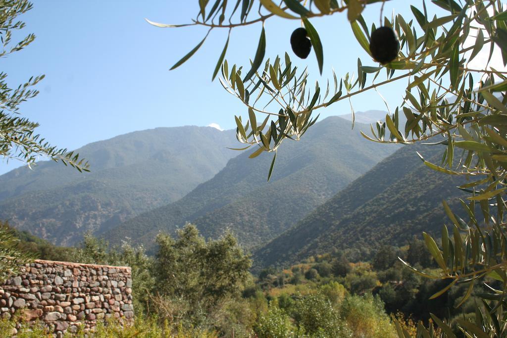 Kasbah Africa Bed & Breakfast Ouirgane Exterior photo